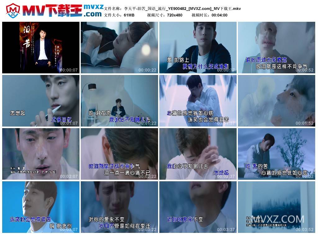 李天平-泪苦_国语_流行_YE900482